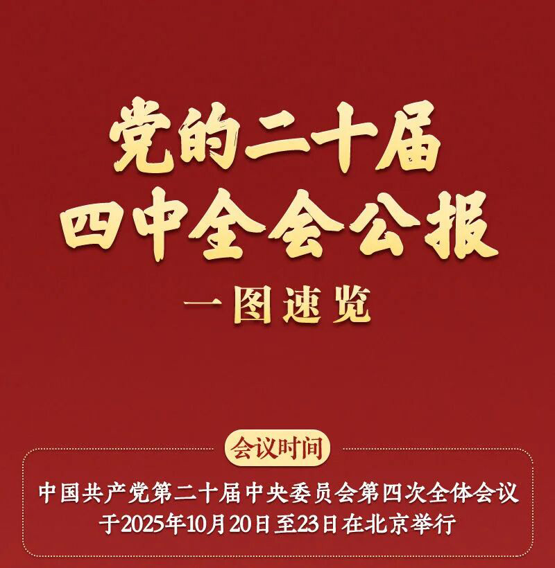 学习专栏|党的二十届四中全会公报一图速览
